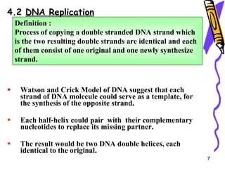 4.2  DNA Replication Watson and Crick Model of DNA suggest that each strand of DNA molecule could serve as a template, for the synthesis of the opposite strand. Each half-helix could pair  with  their complementary nucleotides to replace its missing partner. The result would be two DNA double helices, each identical to the original. Definition : Process of copying a double stranded DNA strand which is the two resulting double strands are identical and each of them consist of one original and one newly synthesize strand. 