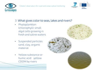 Index
1. Item 1
2. Item 2
3. Item 3
4. Item 4
3. What gives color to seas, lakes and rivers?
• Phytoplankton
(chlorophyll)...