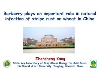 Barberry plays an important role in natural
infection of stripe rust on wheat in China
Zhensheng Kang
State Key Laboratory of Crop Stress Biology for Arid Areas,
Northwest A & F University, Yangling, Shaanxi, China
 