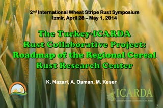 2nd International Wheat Stripe Rust Symposium
Izmir, April 28 – May 1, 2014
K. Nazari, A. Osman, M. Keser
1
 
