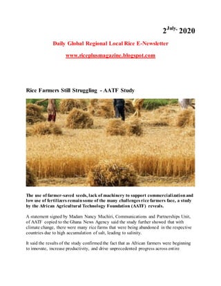 2July,
2020
Daily Global Regional Local Rice E-Newsletter
www.riceplusmagazine.blogspot.com
Rice Farmers Still Struggling - AATF Study
The use of farmer-saved seeds, lack of machinery to support commercializationand
low use of fertilizers remainsome of the many challenges rice farmers face, a study
by the African Agricultural Technology Foundation (AATF) reveals.
A statement signed by Madam Nancy Muchiri, Communications and Partnerships Unit,
of AATF copied to the Ghana News Agency said the study further showed that with
climate change, there were many rice farms that were being abandoned in the respective
countries due to high accumulation of salt, leading to salinity.
It said the results of the study confirmed the fact that as African farmers were beginning
to innovate, increase productivity, and drive unprecedented progress across entire
 