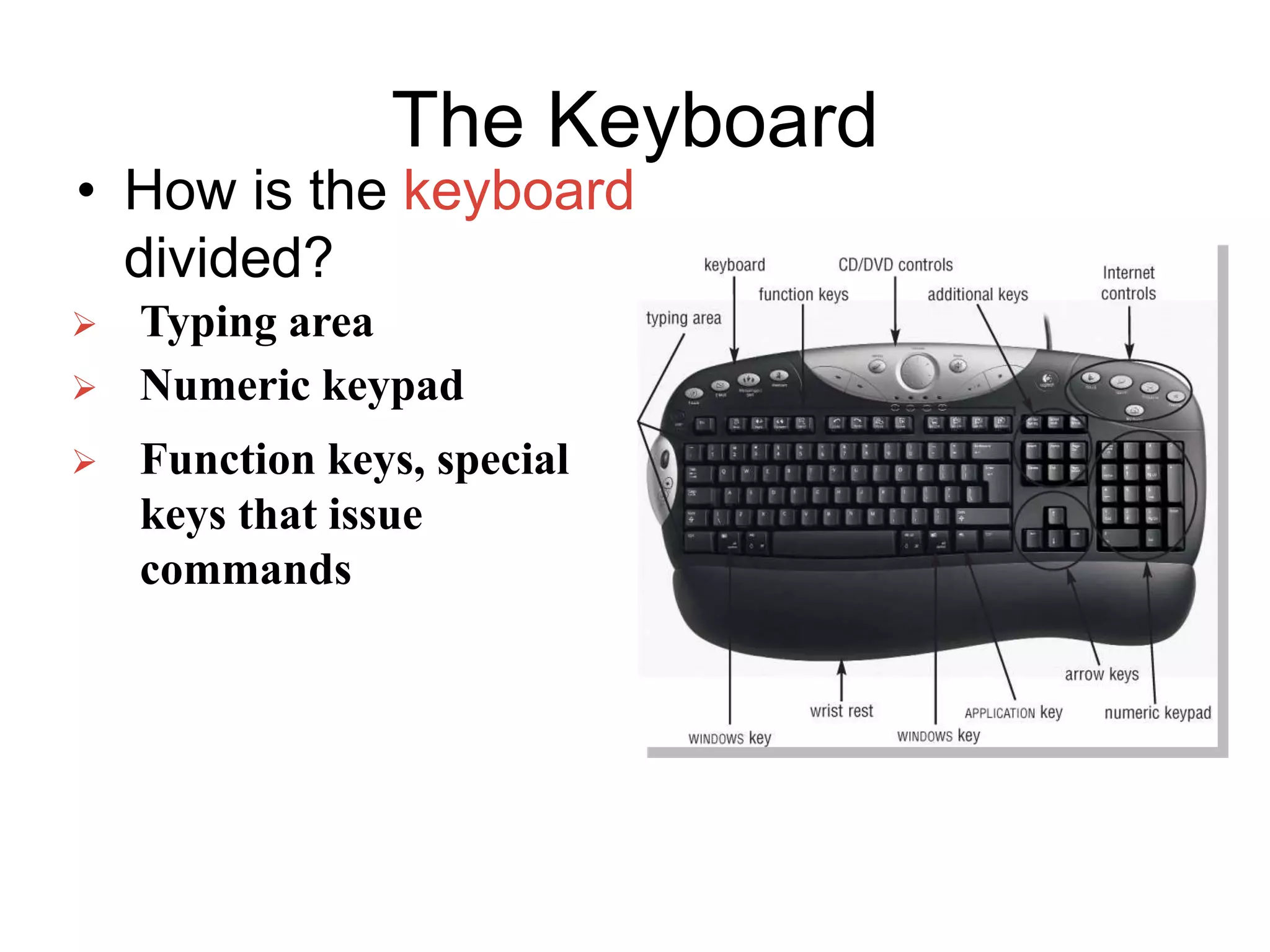 The Keyboard
• How is the keyboard
divided?
 Typing area
 Numeric keypad
 Function keys, special
keys that issue
commands
 