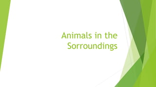 Animals in the
Sorroundings
 