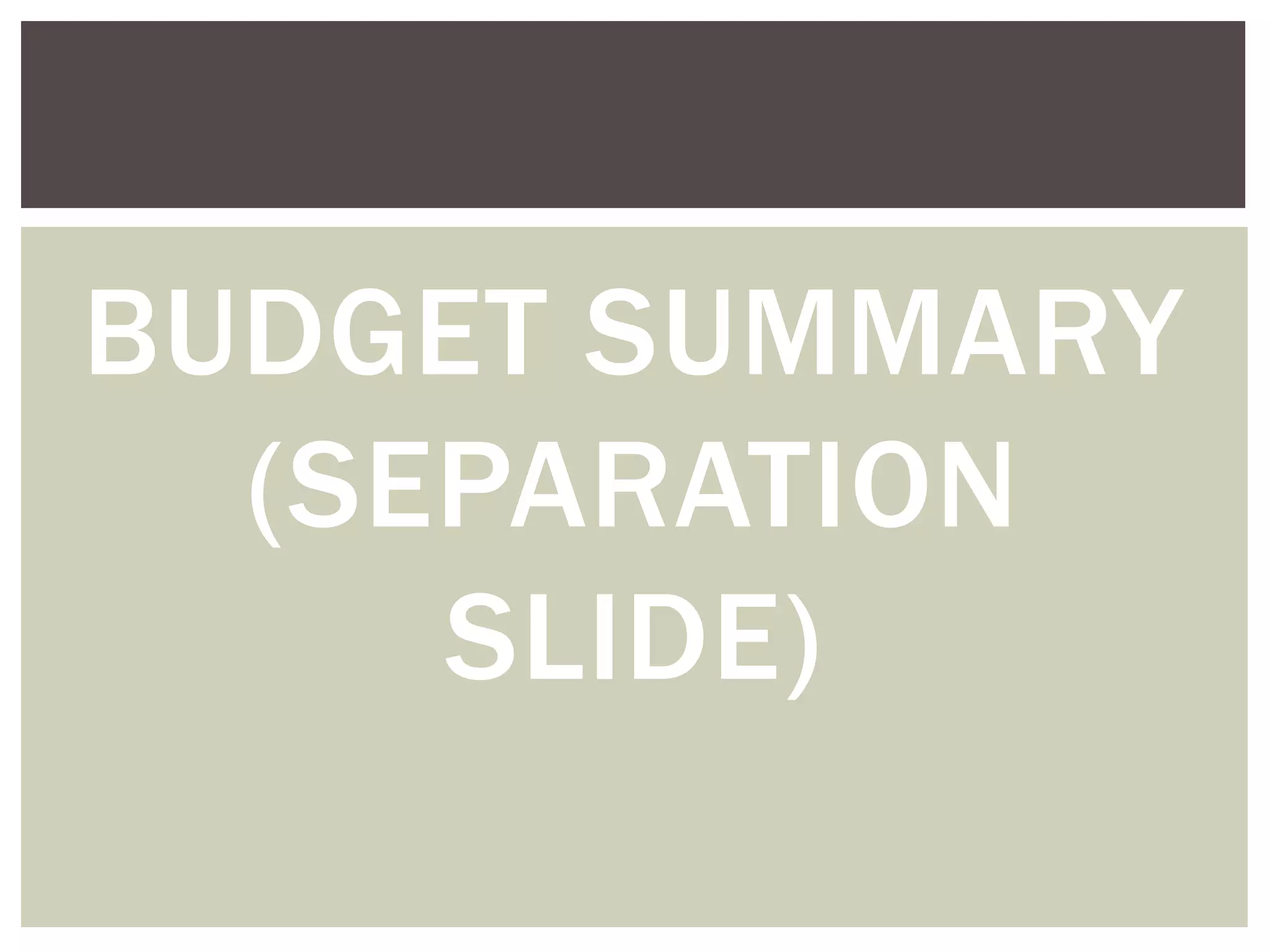 BUDGET SUMMARY
(SEPARATION
SLIDE)
 