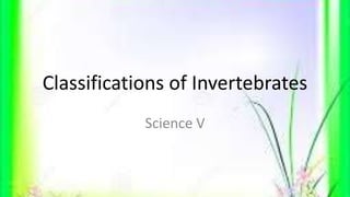 Classifications of Invertebrates
Science V
 