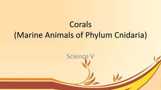 Corals
(Marine Animals of Phylum Cnidaria)
Science V
 