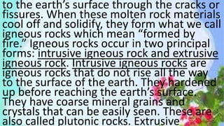 to the earth’s surface through the cracks or
fissures. When these molten rock materials
cool off and solidify, they form what we call
igneous rocks which mean “formed by
fire.” Igneous rocks occur in two principal
forms: intrusive igneous rock and extrusive
igneous rock. Intrusive igneous rocks are
igneous rocks that do not rise all the way
to the surface of the earth. They hardened
up before reaching the earth’s surface.
They have coarse mineral grains and
crystals that can be easily seen. These are
also called plutonic rocks. Extrusive
 