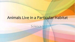 Animals Live in a Particular Habitat
Science V
 