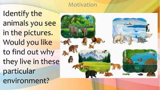 2nd qtr 1 animals live in a particular habitat | PPTX