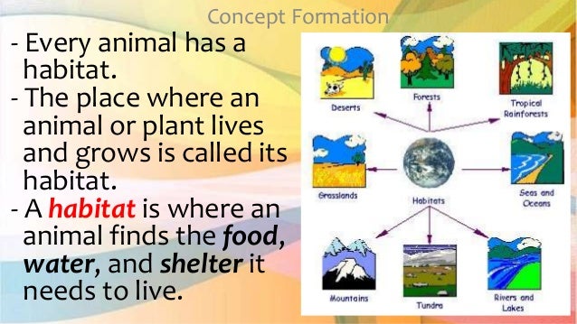 2nd qtr 1 animals live in a particular habitat 4 638