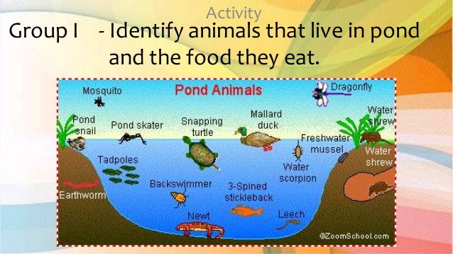 2nd Qtr 1 Animals Live In A Particular Habitat