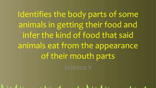 Identifies the body parts of some
animals in getting their food and
infer the kind of food that said
animals eat from the appearance
of their mouth parts
Science V
 