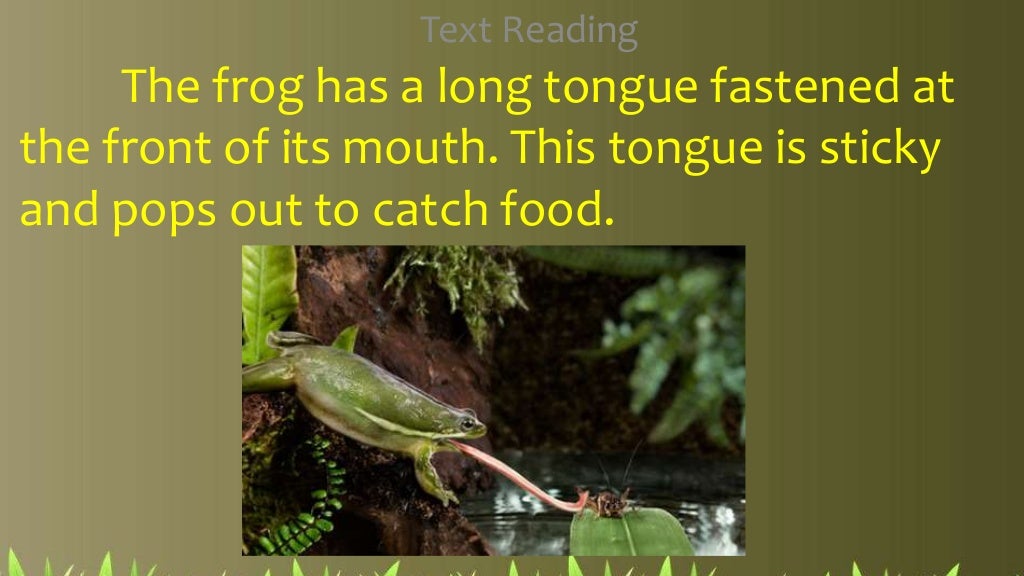 2nd qtr 3 body parts of some animals in getting their food