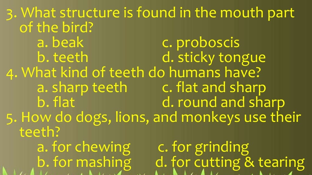 2nd qtr 3 body parts of some animals in getting their food