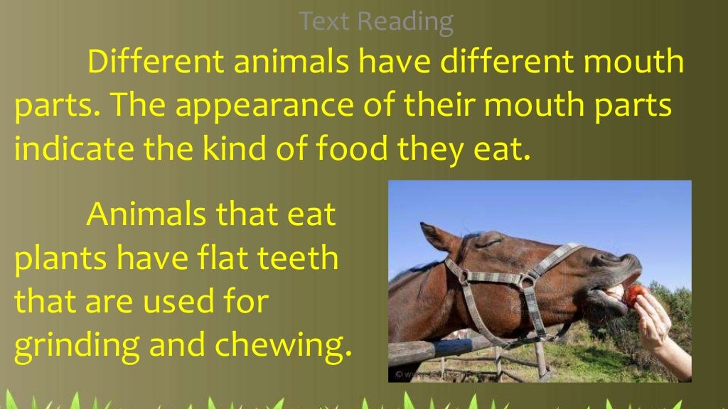 2nd qtr 3 body parts of some animals in getting their food