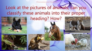 2nd qtr 4 classifies animals according to the food they eat
