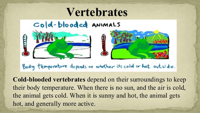 2nd qtr 8a characteristics of vertebrates