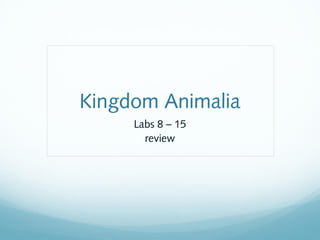 Kingdom Animalia
Labs 8 – 15
review
 