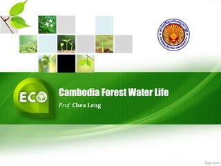 Cambodia Forest Water Life
Prof. Chea Leng
 