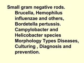 Small gram negative rods.
Brucella, Hemophilus
influenzae and others,
Bordetella pertussis.
Campylobacter and
Helicobacter species
Morphology Types Diseases,
Culturing , Diagnosis and
prevention.
 
