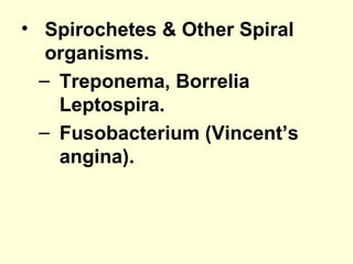 • Spirochetes & Other Spiral
organisms.
– Treponema, Borrelia
Leptospira.
– Fusobacterium (Vincent’s
angina).
 