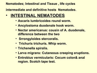 Nematodes; Intestinal and Tissue , life cycles
intermediate and definitive hosts Nematodes.
• INTESTINAL NEMATODES
• Ascaris lumbricoides round worm.
• Ancylostoma duodenale hook worm.
• Nectar americanus: cousin of A. duodenale,
difference between the two
• Srrongyloides stercoralis.
• Trichuris trichuris. Whip worm.
• Trichenella spiralis.
• Larva migrans: Cutaneous creeping eruptions.
• Entrobius vermicularis: Cecum colon& anal
region. Scotch tape test.
 