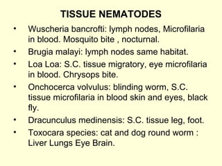 TISSUE NEMATODES
• Wuscheria bancrofti: lymph nodes, Microfilaria
in blood. Mosquito bite , nocturnal.
• Brugia malayi: lymph nodes same habitat.
• Loa Loa: S.C. tissue migratory, eye microfilaria
in blood. Chrysops bite.
• Onchocerca volvulus: blinding worm, S.C.
tissue microfilaria in blood skin and eyes, black
fly.
• Dracunculus medinensis: S.C. tissue leg, foot.
• Toxocara species: cat and dog round worm :
Liver Lungs Eye Brain.
 