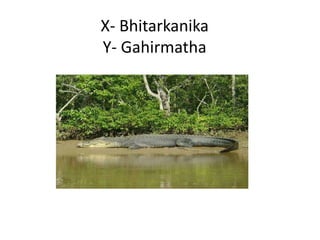 X- Bhitarkanika
Y- Gahirmatha
 