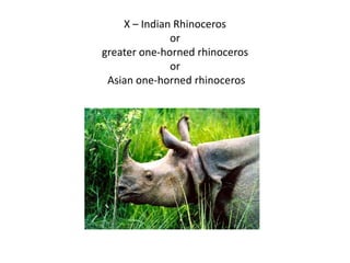 X – Indian Rhinoceros
              or
greater one-horned rhinoceros
              or
 Asian one-horned rhinoceros
 