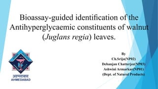 Bioassay-guided identiﬁcation of the
Antihyperglycaemic constituents of walnut
(Juglans regia) leaves.
By
Ch.Srija(NP02)
Debanjan Chatterjee(NP03)
Ashwini Armarkar(NP01)
(Dept. of Natural Products)
1
 