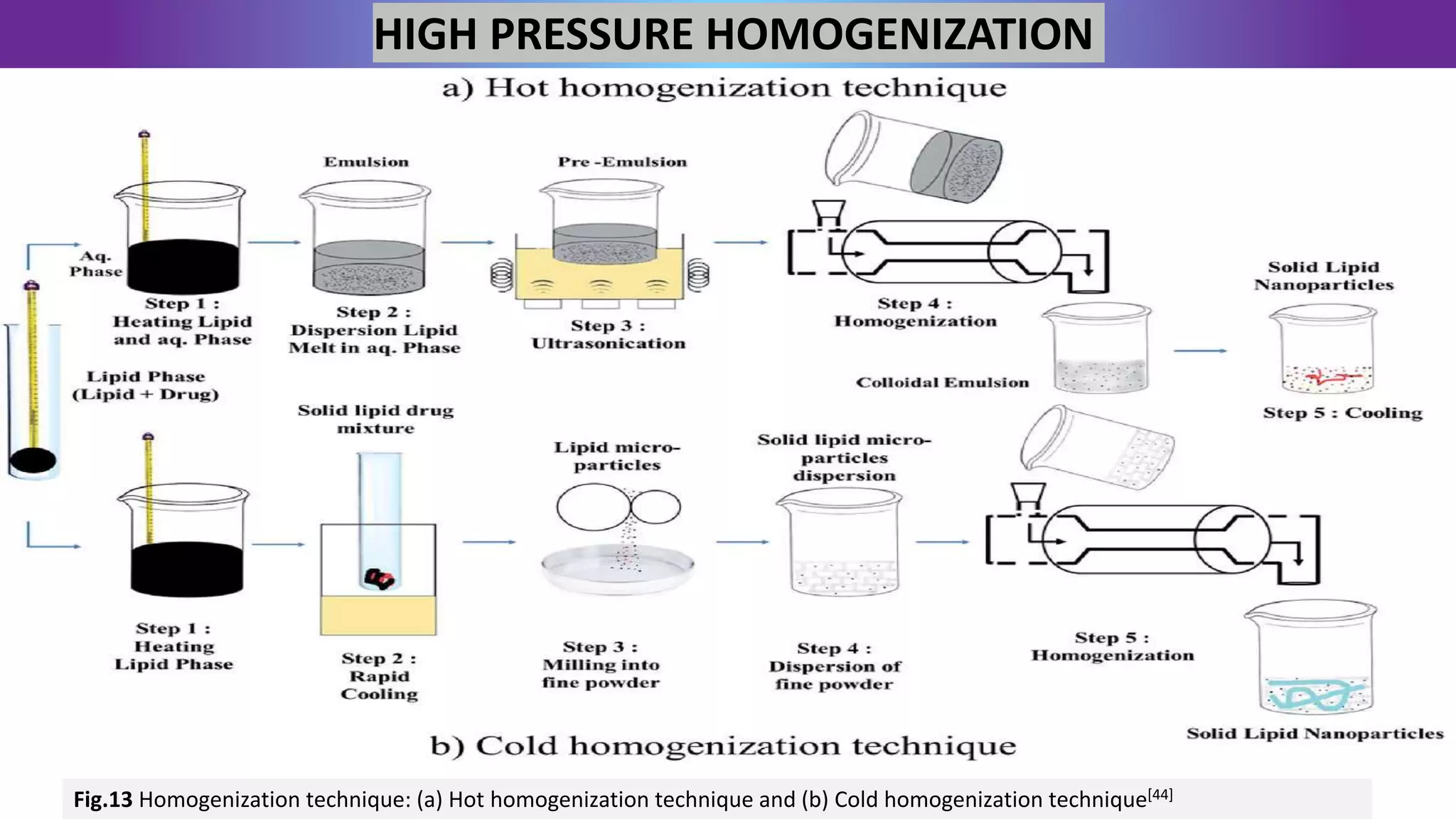 Homogenization Speed NANOPARTICLES PRESENTATION --.pptx