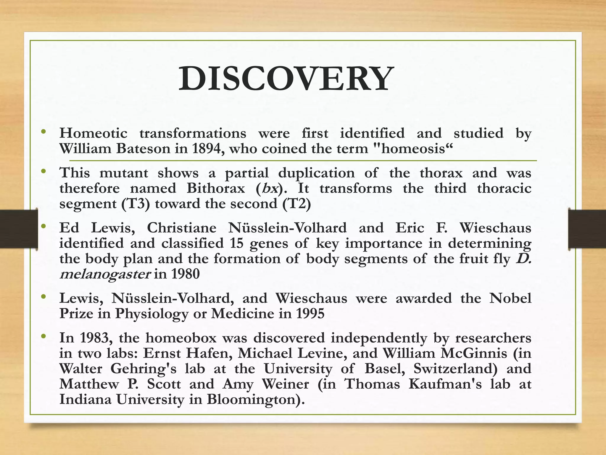 DISCOVERY
• Homeotic transformations were first identified and studied by
William Bateson in 1894, who coined the term "homeosis“
• This mutant shows a partial duplication of the thorax and was
therefore named Bithorax (bx). It transforms the third thoracic
segment (T3) toward the second (T2)
• Ed Lewis, Christiane Nüsslein-Volhard and Eric F. Wieschaus
identified and classified 15 genes of key importance in determining
the body plan and the formation of body segments of the fruit fly D.
melanogaster in 1980
• Lewis, Nüsslein-Volhard, and Wieschaus were awarded the Nobel
Prize in Physiology or Medicine in 1995
• In 1983, the homeobox was discovered independently by researchers
in two labs: Ernst Hafen, Michael Levine, and William McGinnis (in
Walter Gehring's lab at the University of Basel, Switzerland) and
Matthew P. Scott and Amy Weiner (in Thomas Kaufman's lab at
Indiana University in Bloomington).
 