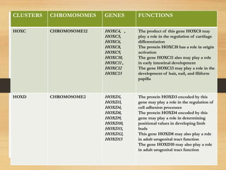hox genes and its role in development | PPTX