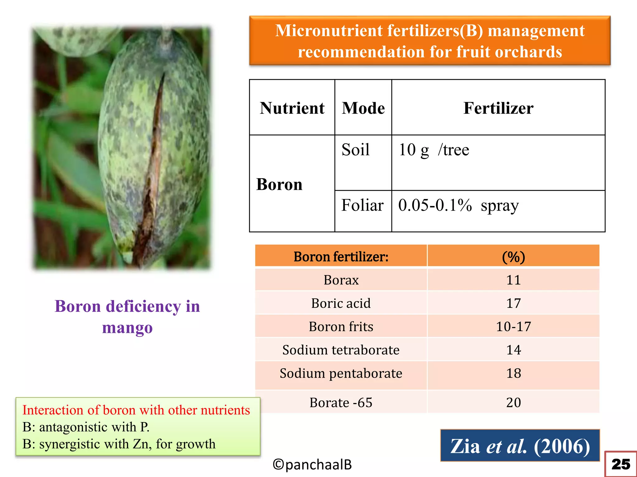 Fix Nutrient Deficiencies Micronutrients Boron Strategic Fertilization: Beyond the Soil