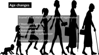 29
Age changes
Enamel is non vital organ , incapable of regeneration
Masticatory attrition
Discolouration
Reduced permiability
Modification in surface layer
Increase incidence of caries
 