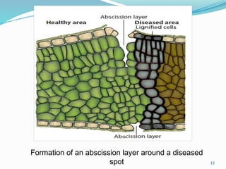 CELL WALL MEDIATED PLANT DISEASE RESISTANCE | PPTX