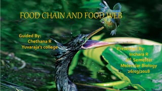 FOOD CHAIN AND FOOD WEB
Guided By:
Chethana R
Yuvaraja's college Presented By:
Inchara R
2nd Semester
Molecular Biology
26/03/2018
 
