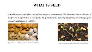 polyphenolic compound as seed germination inhibitor | PPTX
