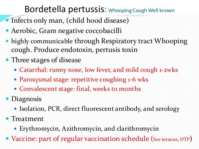 Clarithromycin 250mg Whooping Cough