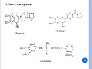 b. Selective Antagonists:
20
Prazosin
Terazosin
Tamsulosin
 