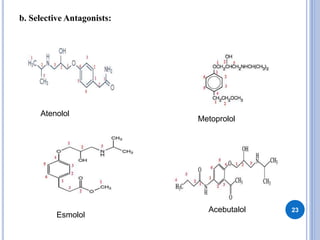 b. Selective Antagonists:
23
Atenolol
Metoprolol
Esmolol
Acebutalol
 