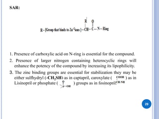 SAR:
1. Presence of carboxylic acid on N-ring is essential for the compound.
2. Presence of larger nitrogen containing heterocyclic rings will
enhance the potency of the compound by increasing its lipophilicity.
3. The zinc binding groups are essential for stabilization they may be
either sulfhydryl (-CH2SH) as in captapril, caroxylate ( ) as in
Lisinopril or phosphate ( ) groups as in fosinopril.
29
 