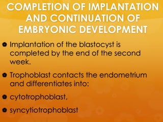 COMPLETION OF IMPLANTATION
   AND CONTINUATION OF
  EMBRYONIC DEVELOPMENT
 Implantation of the blastocyst is
  completed by the end of the second
  week.
 Trophoblast contacts the endometrium
  and differentiates into:
 cytotrophoblast,

 syncytiotrophoblast
 