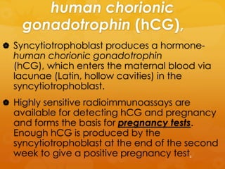 human chorionic
    gonadotrophin (hCG),
 Syncytiotrophoblast produces a hormone-
  human chorionic gonadotrophin
  (hCG), which enters the maternal blood via
  lacunae (Latin, hollow cavities) in the
  syncytiotrophoblast.
 Highly sensitive radioimmunoassays are
  available for detecting hCG and pregnancy
  and forms the basis for pregnancy tests.
  Enough hCG is produced by the
  syncytiotrophoblast at the end of the second
  week to give a positive pregnancy test.
 