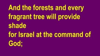 And the forests and every
fragrant tree will provide
shade
for Israel at the command of
God;
 