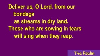 Deliver us, O Lord, from our
bondage
as streams in dry land.
Those who are sowing in tears
will sing when they reap.
The Psalm
 