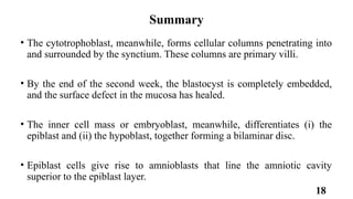 Embryology of the Second Week: Bilaminar Germ Disc Formation and ...