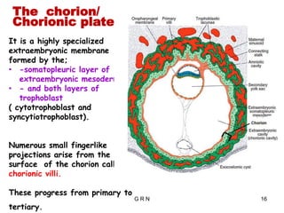 Chorionic Layer SECOND WEEK OF DEVELOPMENT_HUMAN EMBRYO_R.pdf