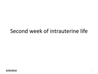 Second week of intrauterine life
4/29/2018 1
 