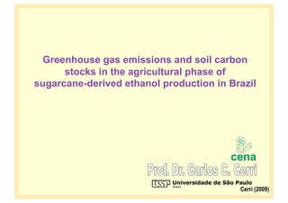 Greenhouse gas emissions and soil carbon
      stocks in the agricultural phase of
sugarcane-derived ethanol production in Brazil




                                          Cerri (2009)
 